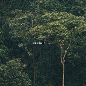 高h肉文嬷嬷调教
