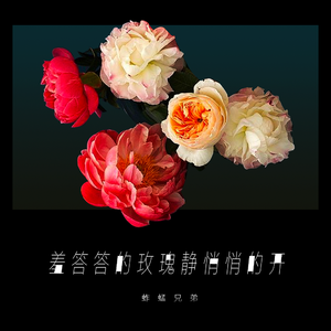 高h肉文嬷嬷调教
